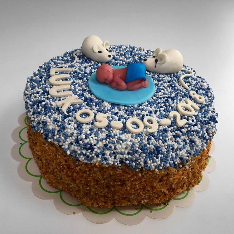 vlam Ongedaan maken werkzaamheid Geboorte taart - beschuitje (€4,60 p.p.) - Bakker Floor van Lieshout