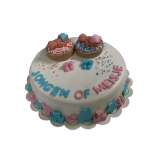 Gender taart - beschuitjes (€4,85 p.p.)