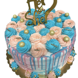 Gender driptaart (4,85 p.p)