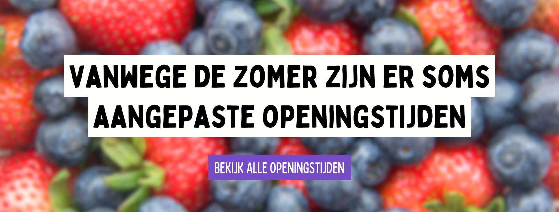 Openingstijden zomer 2026
